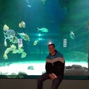 ���������� ��������, ���� ������� ������, 44 ����, ������������ ��� ������