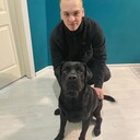 ���������� �������, ���� ����� ����, 21 ���, ������������ ��� ������, ����� � ���������