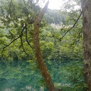 ���������� ������-��-����, ���� ������� ������, 42 ����, ������������ ��� ������, ����� � ���������, c�������� ���������