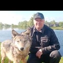 ���������� ��������, ���� ������� �������, 46 ���, ������������ ��� ������, ����� � ���������, c�������� ���������, ���������