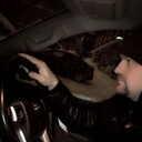 ���������� ������ ��������, ���� ������� ����, 37 ���, ������������ ��� ������