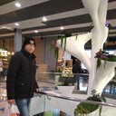  ,   , 38 ,  