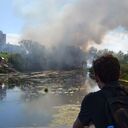 ���������� ���������, ���� ������� ��������, 29 ���, ������������ ��� ������, ����� � ���������, ���������