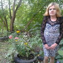 ���������� �����������, ���� ������� ��������, 54 ����, ������������ ��� ����� � ���������, c�������� ���������