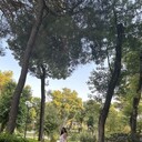  ,   , 36 ,   c 