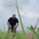 ���������� ���������, ���� ������� ������, 31 ���, ������������ ��� ������, ����� � ���������, c�������� ���������