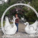 ���������� �������, ���� ������� �������, 49 ���, ������������ 