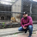 ���������� �����������, ���� ������� �����, 36 ���, ������������ ��� ������, ����� � ���������, c�������� ���������