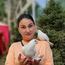 ,   , 53 ,   c 
