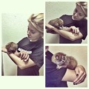 ���������� ������, ���� ������� ������, 32 ����, ������������ ��� ������, ����� � ���������, c�������� ���������