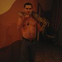  ,   , 46 ,   