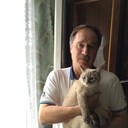 ���������� �����-���������, ���� ������� ������, 63 ����, ������������ ��� ����� � ���������, c�������� ���������