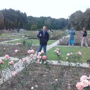  ,   , 54 ,   