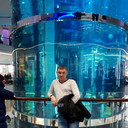 ���������� ������, ���� ������� ����, 43 ����, ������������ 