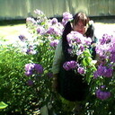  ,   , 66 ,   ,   