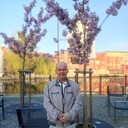 ���������� �����������, ���� ������� ������, 45 ���, ������������ ��� ����� � ���������, c�������� ���������