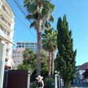  ,   , 53 ,   ,   