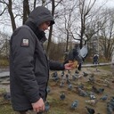 ���������� ������, ���� ������� ���������, 31 ���, ������������ ��� ������, ����� � ���������, c�������� ���������