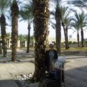 ���������� �����������, ���� ������� ��������, 50 ���, ������������ ��� ������