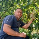 ���������� ������, ���� ������� ������, 44 ����, ������������ ��� ������, ����� � ���������