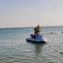 ���������� ������, ���� ������� �������, 39 ���, ������������ ��� ������, ����� � ���������, ���������