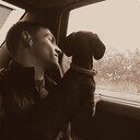 ���������� ������, ���� ������� ����, 33 ����, ������������ ��� ������, ����� � ���������, c�������� ���������, ���������