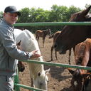 ���������� �������, ���� ������� Badboy, 44 ����, ������������ 