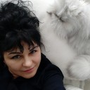  ,   , 51 ,   ,   , c 