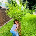 ���������� ������, ���� ������� �����, 105 ���, ������������ ��� ������, ����� � ���������, c�������� ���������