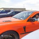 ���������� ����, ���� ������� Canavar, 31 ���, ������������ ��� ������, ����� � ���������