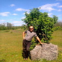  ,   , 56 ,   ,   , c 