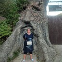 ���������� ������, ���� ������� ���������, 44 ����, ������������ ��� c�������� ���������, ���������