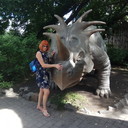 ���������� �����, ���� ������� ����, 38 ���, ������������ ��� ����� � ���������, c�������� ���������