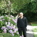  ,   Noriel, 57 ,   ,   , c 