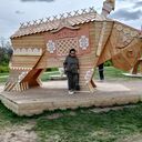 ���������� �������, ���� ������� ��������, 69 ���, ������������ ��� c�������� ���������, ���������