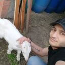  ,   Elfag, 30 ,   ,   