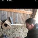 ���������� �����-���������, ���� ������� Tg  Siradgwe, 34 ����, ������������ ��� ������, ����� � ���������