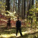 ���������� �������, ���� ������� ���������, 36 ���, ������������ ��� ������, ����� � ���������, c�������� ���������