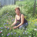 ���������� ������, ���� ������� ����, 44 ����, ������������ ��� ������, ����� � ���������, c�������� ���������