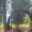 ���������� ������, ���� ������� Alexander, 28 ���, ������������ ��� c�������� ���������, ���������