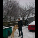 ���������� ������� ����, ���� ������� ������, 39 ���, ������������ ��� ����� � ���������, c�������� ���������