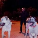  ,   Serhat Kaya, 40 ,   ,   , c 