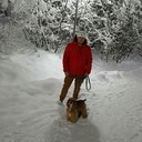 ���������� ����, ���� ������� �����, 36 ���, ������������ ��� ������, ����� � ���������, c�������� ���������, ���������