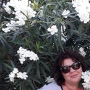 ���������� ����, ���� ������� ����, 56 ���, ������������ ��� ������, ����� � ���������, c�������� ���������