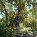 ���������� ����������, ���� ������� ������, 36 ���, ������������ ��� ������, ����� � ���������, c�������� ���������, ���������