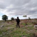 ���������� �����-���������, ���� ������� ����, 33 ����, ������������ ��� ������, ����� � ���������, c�������� ���������, ���������