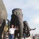 ���������� ������, ���� ������� ������, 44 ����, ������������ ��� ������, ����� � ���������, c�������� ���������, ���������