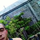 ���������� �����, ���� ������� �����, 33 ����, ������������ ��� ������, ����� � ���������, c�������� ���������, ���������