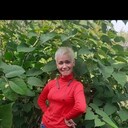 ���������� �����������, ���� ������� �����, 42 ����, ������������ ��� ������