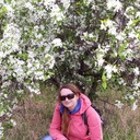  ,   , 51 ,   ,   , c , 